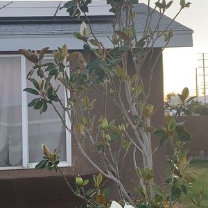 Meet your Posher, Elisa